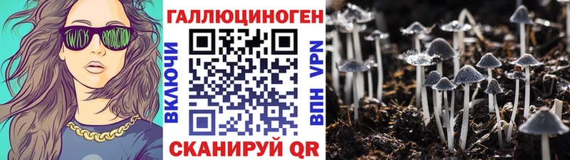 даркнет сайт  Ясный  Галлюциногенные грибы Cubensis 
